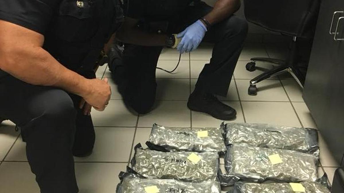 Pembroke Pines police officers Jon Cusack and Peterson Jacques pose with the briefcase found with the foliage.
