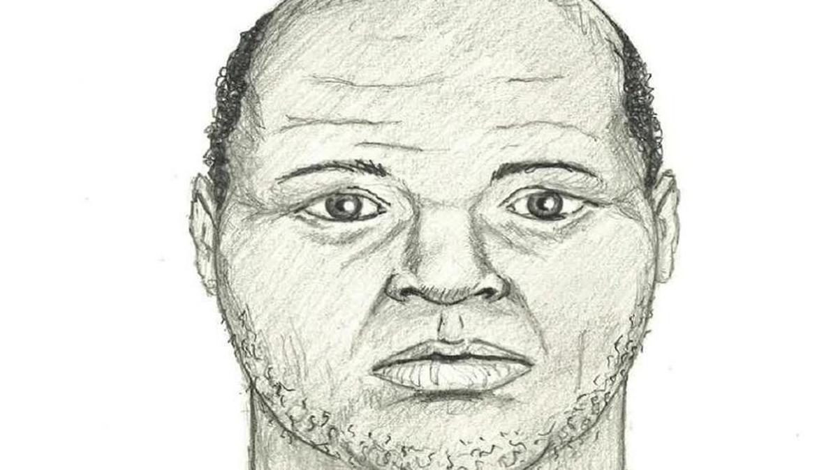 Police sketch of man found being devoured by gators.