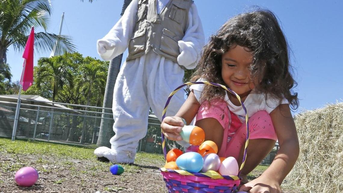 Destiny hunts for easter eggs at Jungle Island at last year’s Jungle Island Mega Egga Hunt! event.