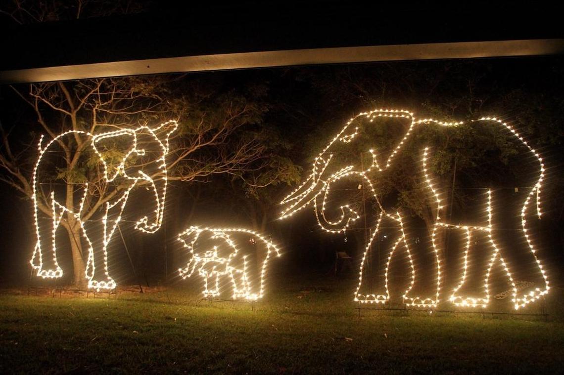 See Zoo Miami at night like you’ve never seen it before, as half a million animal-shaped lights create a spectacular, festive atmosphere, enhanced by free 3D glasses, hot chocolate and cookies, yuletide carolers and carousel rides. The exhibition begins at 7 p.m. Saturday, and runs through Dec. 30.