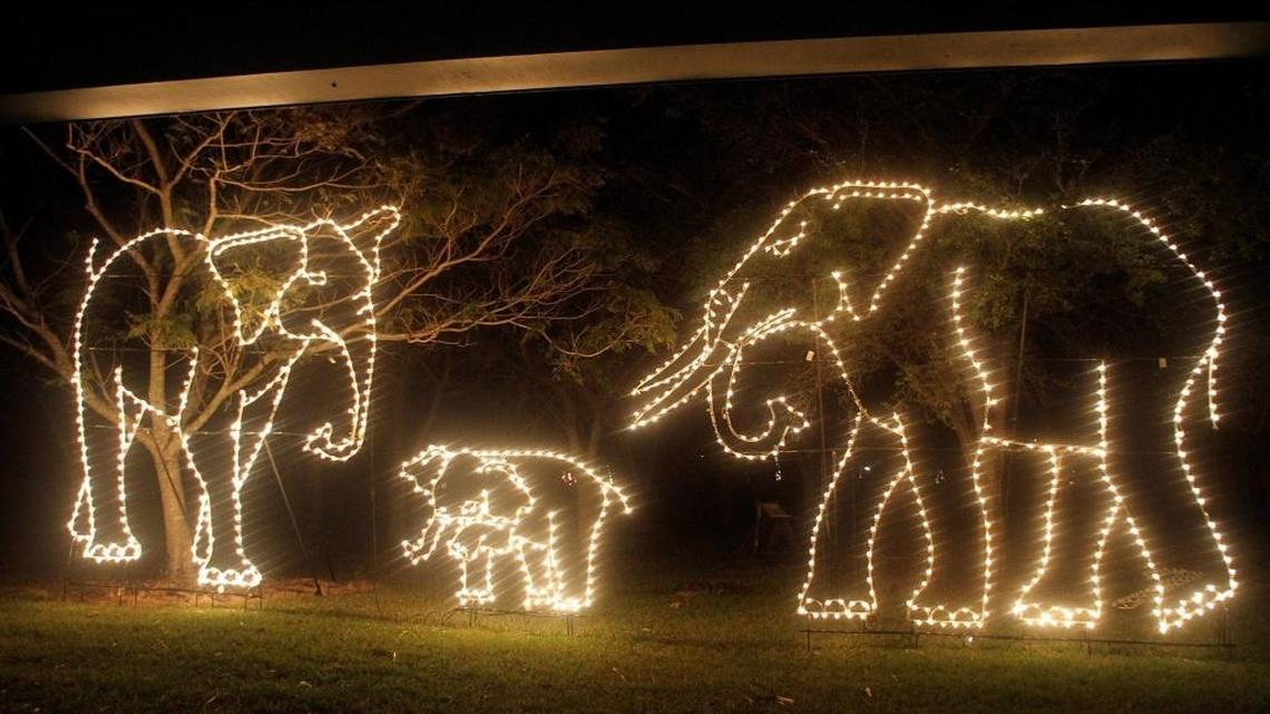 See Zoo Miami at night like you’ve never seen it before, as half a million animal-shaped lights create a spectacular, festive atmosphere, enhanced by free 3D glasses, hot chocolate and cookies, yuletide carolers and carousel rides. The exhibition begins at 7 p.m. Saturday, and runs through Dec. 30.