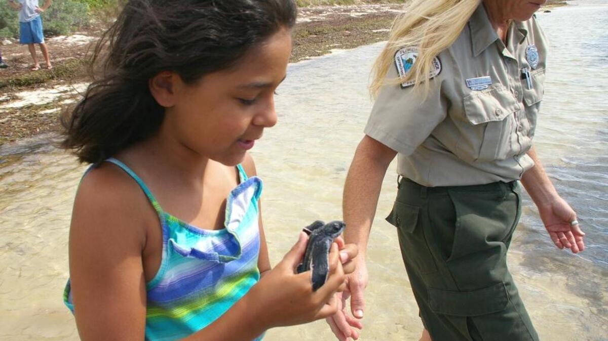 Michigan 8-year-old Zaharah Buck and park services specialist Keely Fine walk one of the hatchlings to the water.