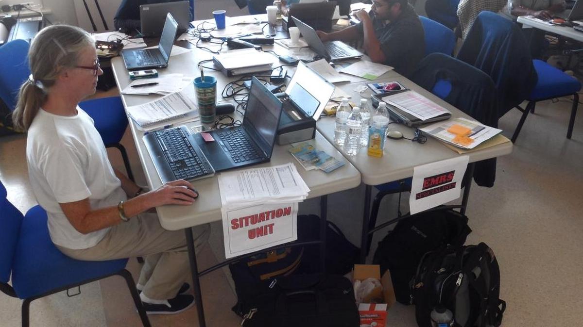 Employees working at Florida Keys Marathon International Airport collaborate Wednesday on New World screwworm eradication efforts.