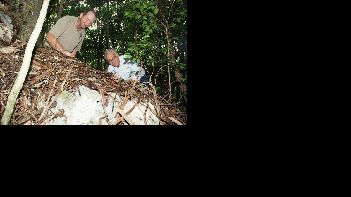 
From left, Jeremy Dixon, manager of the Crocodile Lake National Wildlife Refuge, and volunteer Ralph DeGayner check out woodrat nest No. 501 that is built from more than 1,000 sticks.

