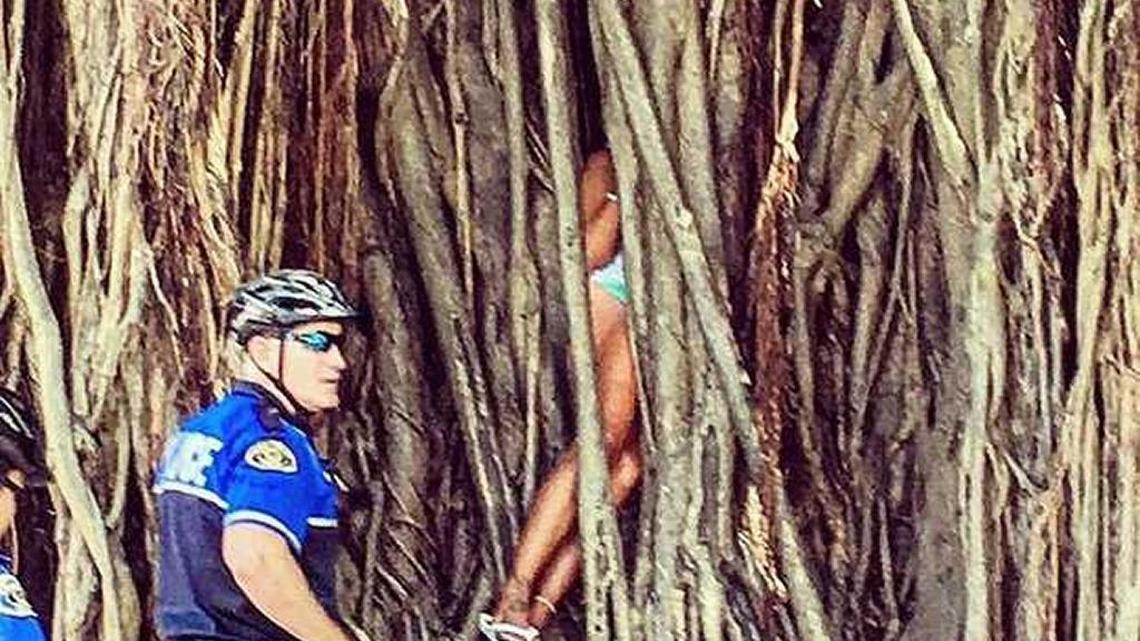 A woman trapped in a banyan tree in Key West required rescue by firefighters. Police were also on the scene.