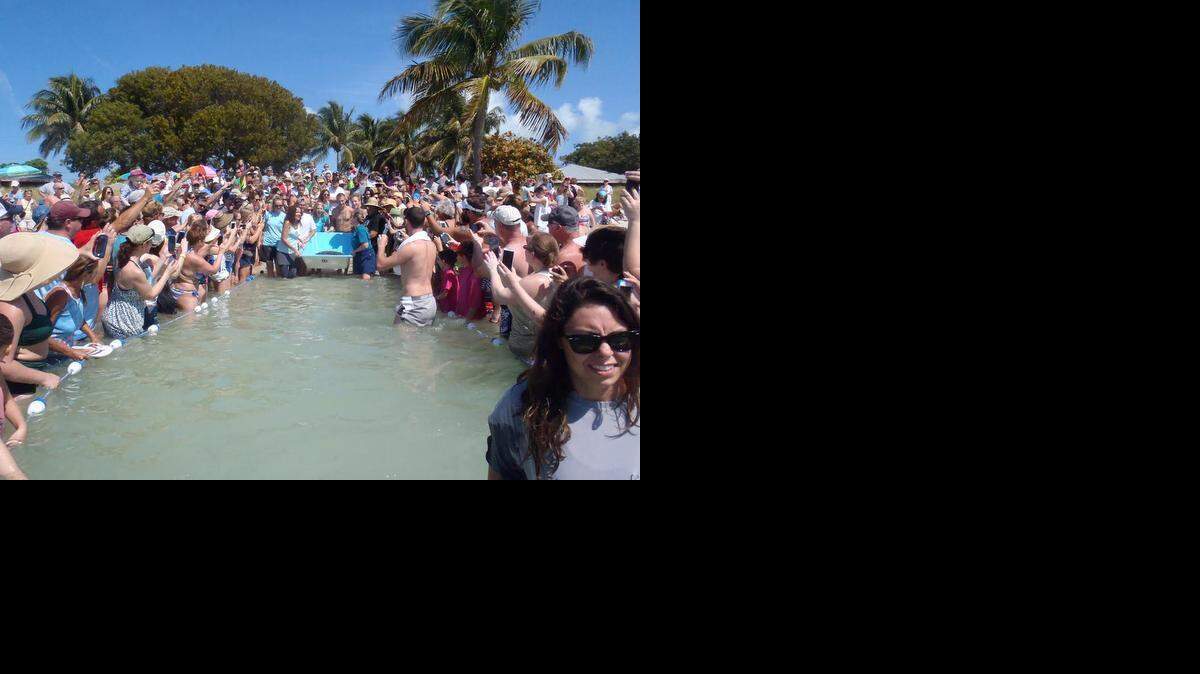 
A crowd in the Keys cheers on the release of Kokomo, a loggerhead sea turtle on SUnday at Sombrero Beach in Marathon.
