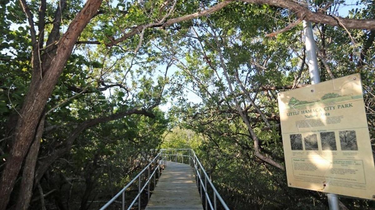 Little Hamaca Park