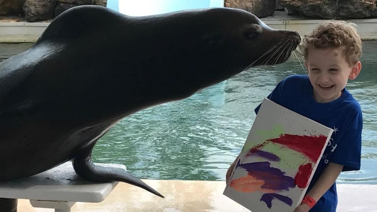 Wilbur the sea lion tries to sneak a quick kiss on Daniel Lamkin, after the mammal painted a picture for him, but Daniel wasn’t having it.