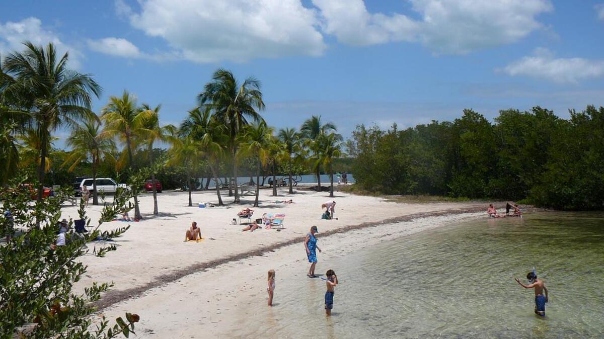 The beach area at Pennekamp State Park.