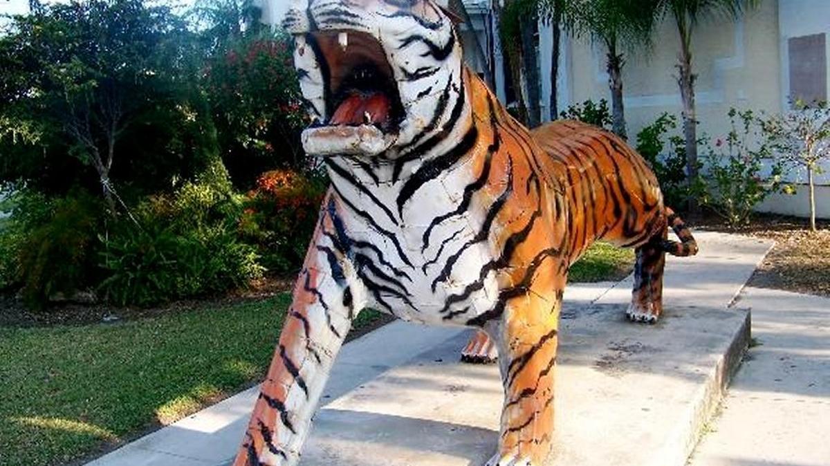 The old Glynn Archer School tiger could be on its way back to its original corner, but this time outside of the new $19 million Key West City Hall that’s about to open.