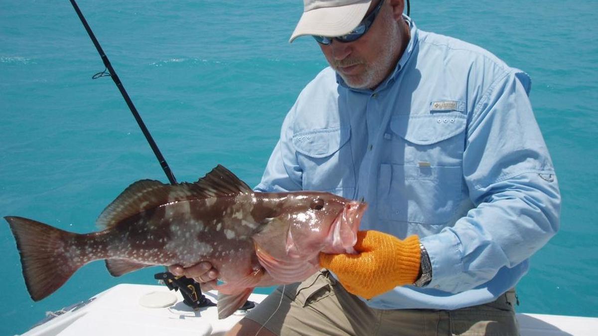 Captain Mark Schmidt holding a red grouper caught west of Key West. Harvesting a grouper from Florida Keys waters becomes legal Monday but taking a snook becomes a violation.