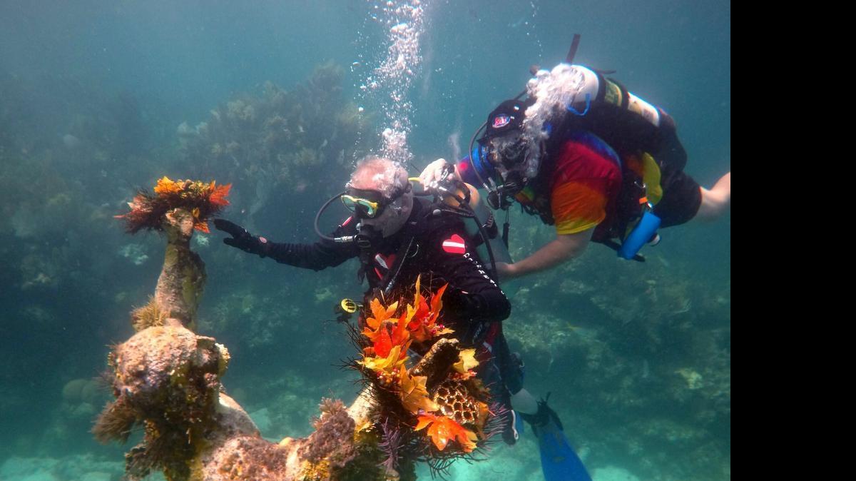 
Gabe Spataro, 83, lays a wreath on the "Christ of the Deep" statue in the waters off Key Largo that he brought to South Florida in the 60s. Spataro, who is legally blind, was aided during his dive by Pete Murray, a volunteer with Divehart, pictured behind him. 
