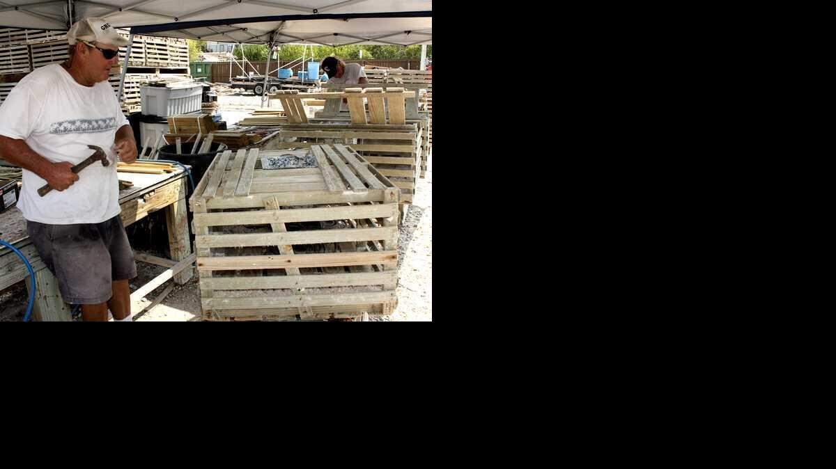 
Lobster fisherman Walter Rentz repairs his traps at Key Largo Fisheries to prepare for the new season that opens in August. The 2014-15 season closes Tuesday.
