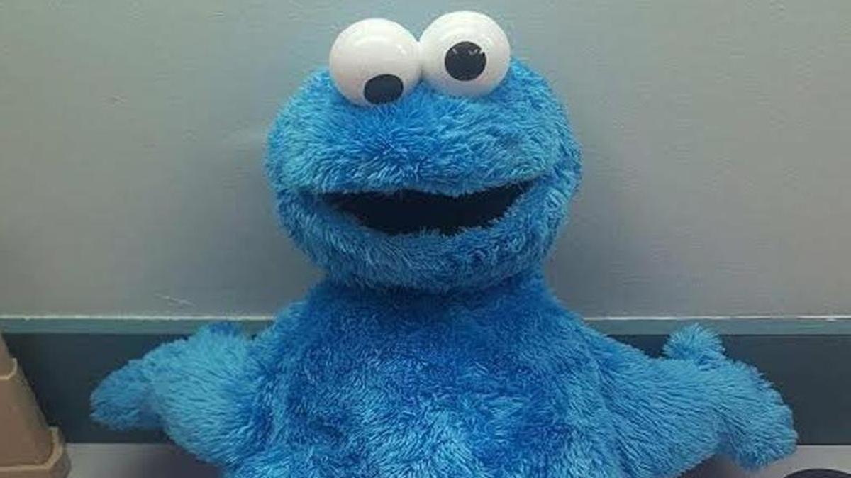 More than 300 grams of cocaine were allegedly transported inside this Cookie Monster doll.