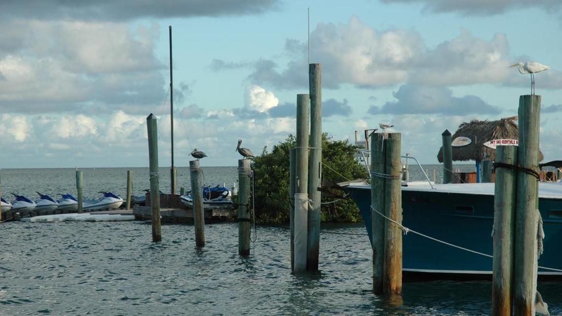Other boaters performed cardiopulmonary resuscitation on Jereima Bustamante until they reached the docks of Whale Harbor Marina at mile marker 83.4, where they were met by medics.