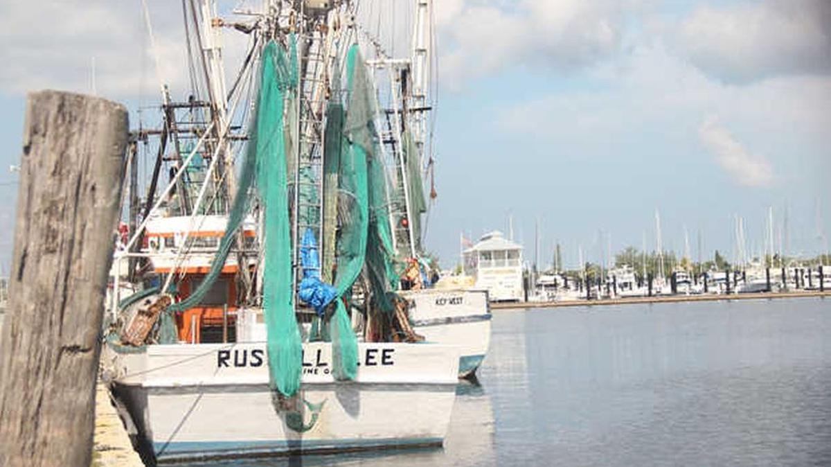 
This stretch of land, near Keys Energy Services' Stock Island plant on Front Street, had a terminal that docked ferries from Cuba some 50 years ago. 
