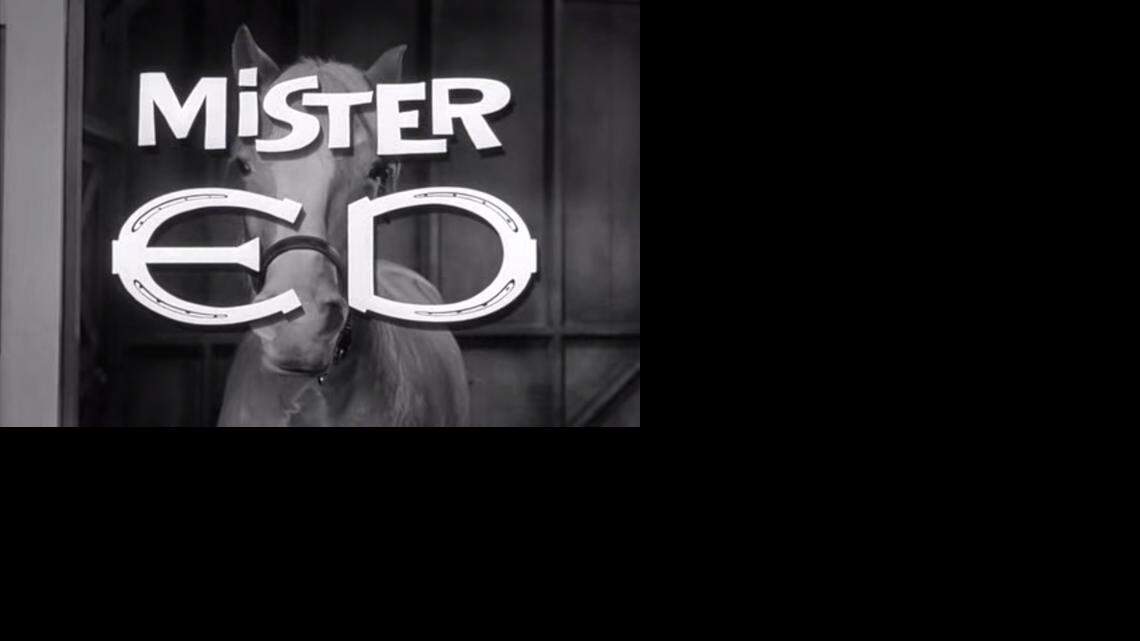 
‘Mister Ed,’ which ran six seasons on CBS beginning in 1961, is now available in a complete series box set.
