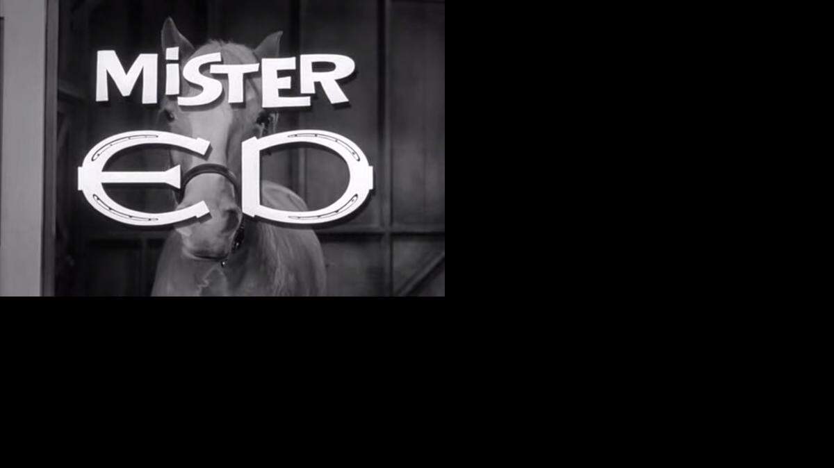 
‘Mister Ed,’ which ran six seasons on CBS beginning in 1961, is now available in a complete series box set.
