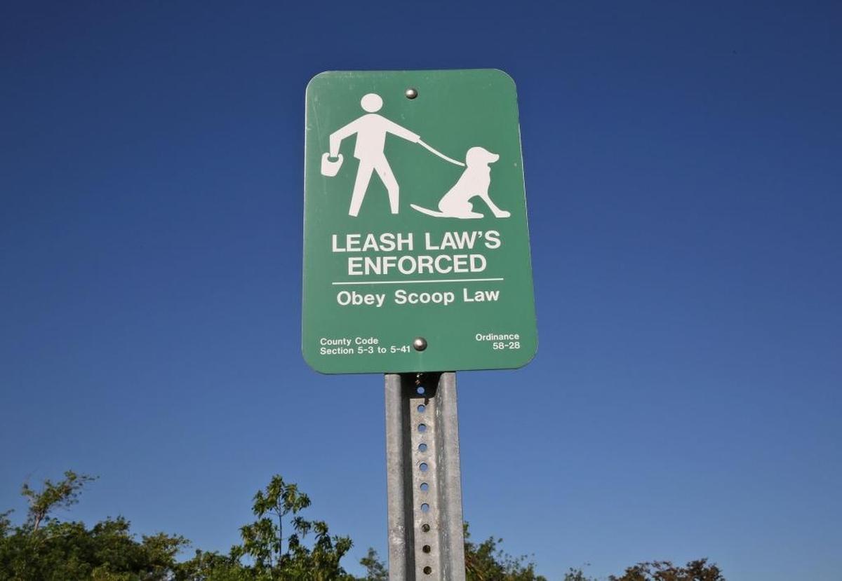Un letrero de ley de correa mal escrito en West Matheson Park, donde los dueños de perros con frecuencia los dejan correr y deambular en espacios abiertos.