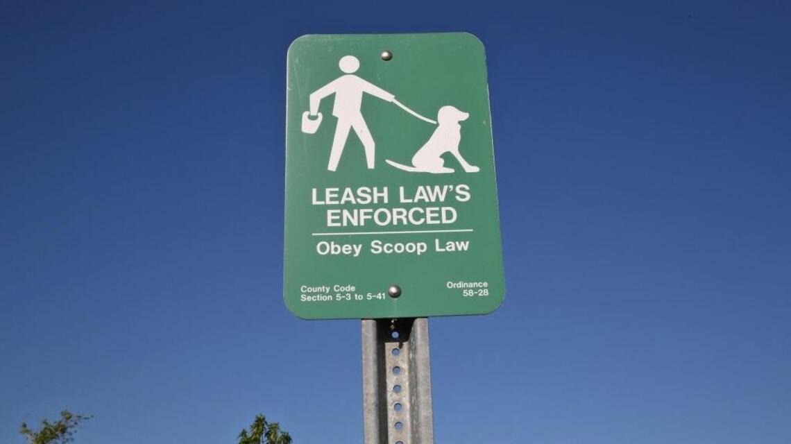 Dangerous unleashed dogs in South Florida: Share your story | Miami Herald