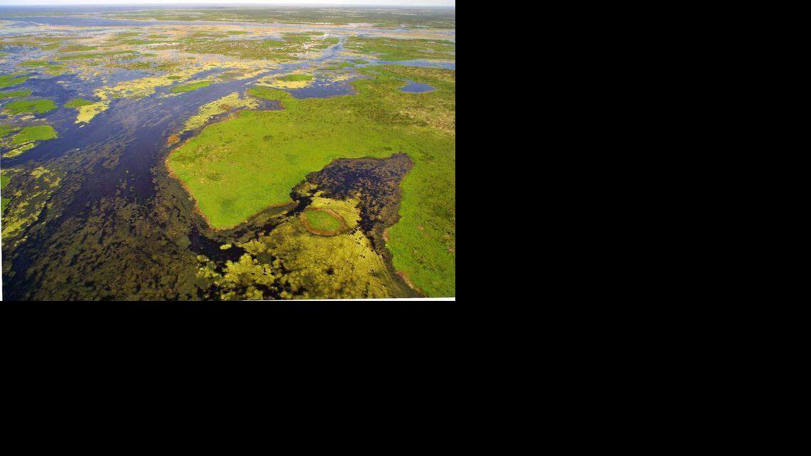 
A key to Everglades restoration is restoring the flow of freshwater south from Lake Okeechobee. But first polluted lake water must be stored and cleaned.
