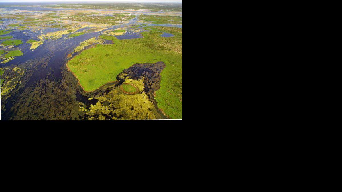 
A key to Everglades restoration is restoring the flow of freshwater south from Lake Okeechobee. But first polluted lake water must be stored and cleaned.
