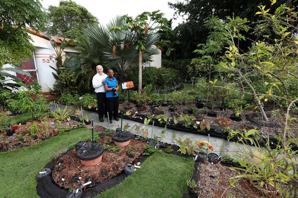 Tom Carroll and Hermine Ricketts stand in front of their home at 53 NE 106th St., Miami Shores, Florida, in November 2013, when the couple maintained a front-yard vegetable garden.