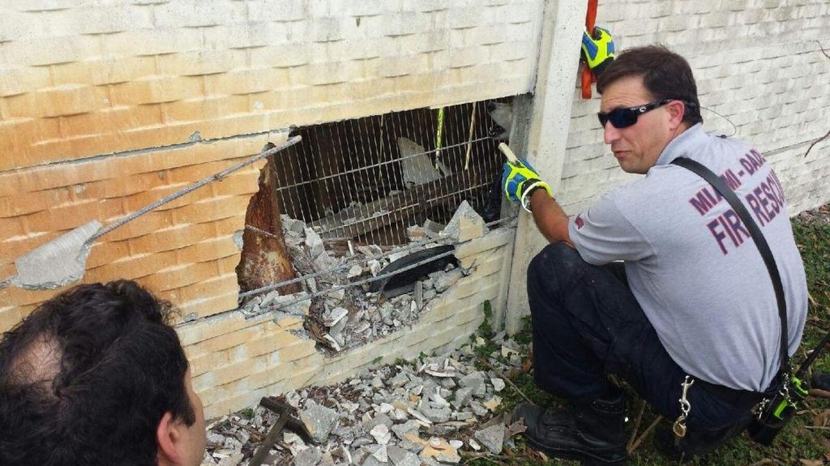Tundra the Husky was trapped between a wooden fence and a concrete wall. To free her, Miami-Dade Fire Rescue had to break down part of the wall.
