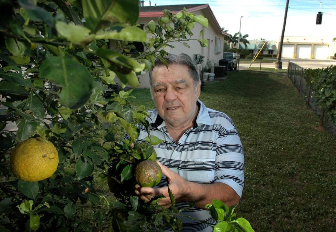 The state budget includes $54 million for 84,000 families in Broward and Palm Beach counties who lost citrus trees in the Department of Agriculture’s effort to eradicate citrus canker.