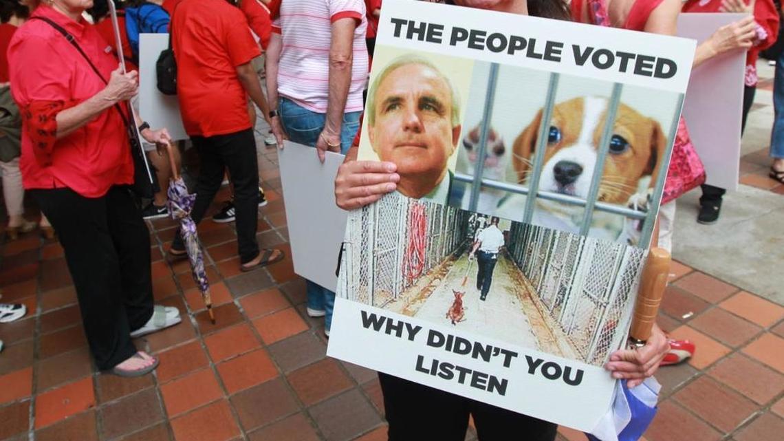 Pet lovers protest outside a Miami-Dade County budget meeting in 2013.