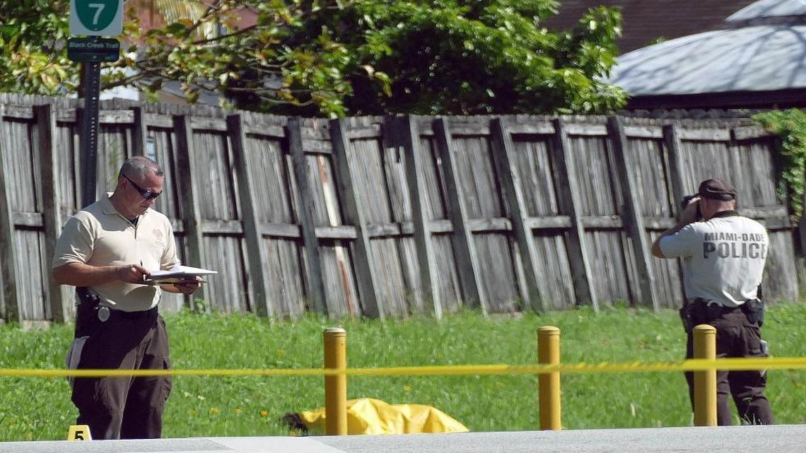 Miami-Dade Police crime scene investigators photograph the body of a robbery suspect near a canal embankment near 127th Avenue and SW 206th Street in South Miami-Dade. The suspect allegedly robbed a Wendy's on Tuesday, Nov. 17, 2015 and fled on foot near a bike path when confronted by police.