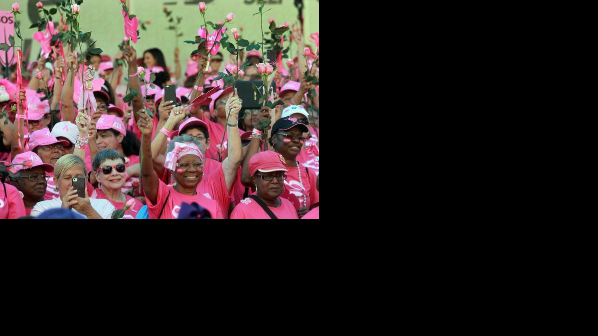 
Thousands of runners and walkers watch the breast cancer survivors’ procession at the annual Susan G. Komen Race for the Cure along Biscayne Boulevard at Miami’s Bayfront Park, Saturday, Oct. 18, 2014.
