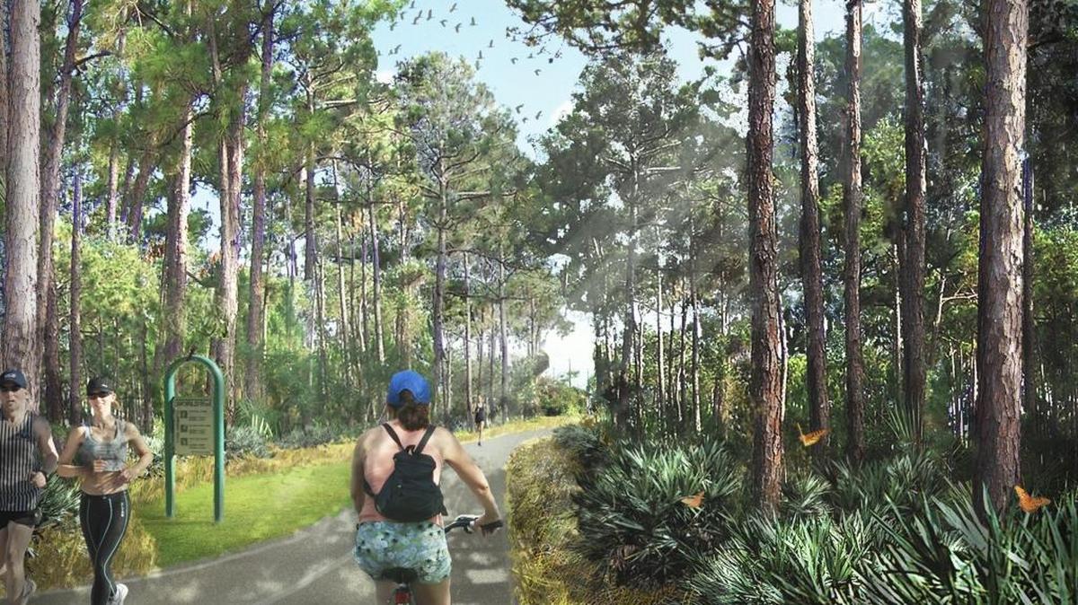
A rendering shows a stretch of the proposed Ludlam Trail.
