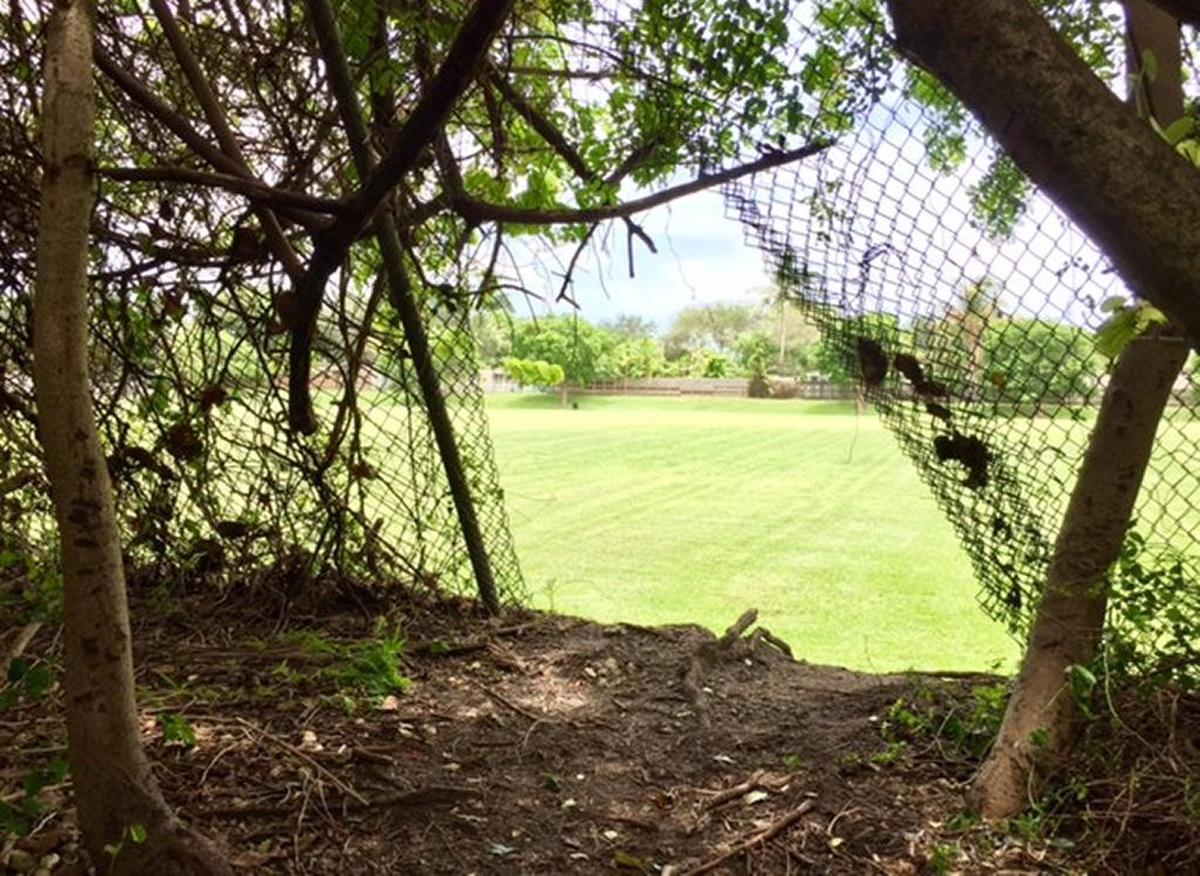 Neighbors who have no easy access to South Miami Park use this improvised entrance, a hole ripped in a fence on the northwest side.