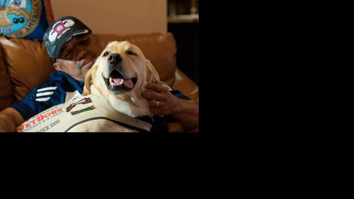 
Diego H. Hurtado, a retired Army paratrooper and veteran of several military actions including Grenada and Desert Shield, plays with his service dog Rex in his home in Miami. Hurtado receives help from Rex with the physical and psychological injuries he suffered during his service.
