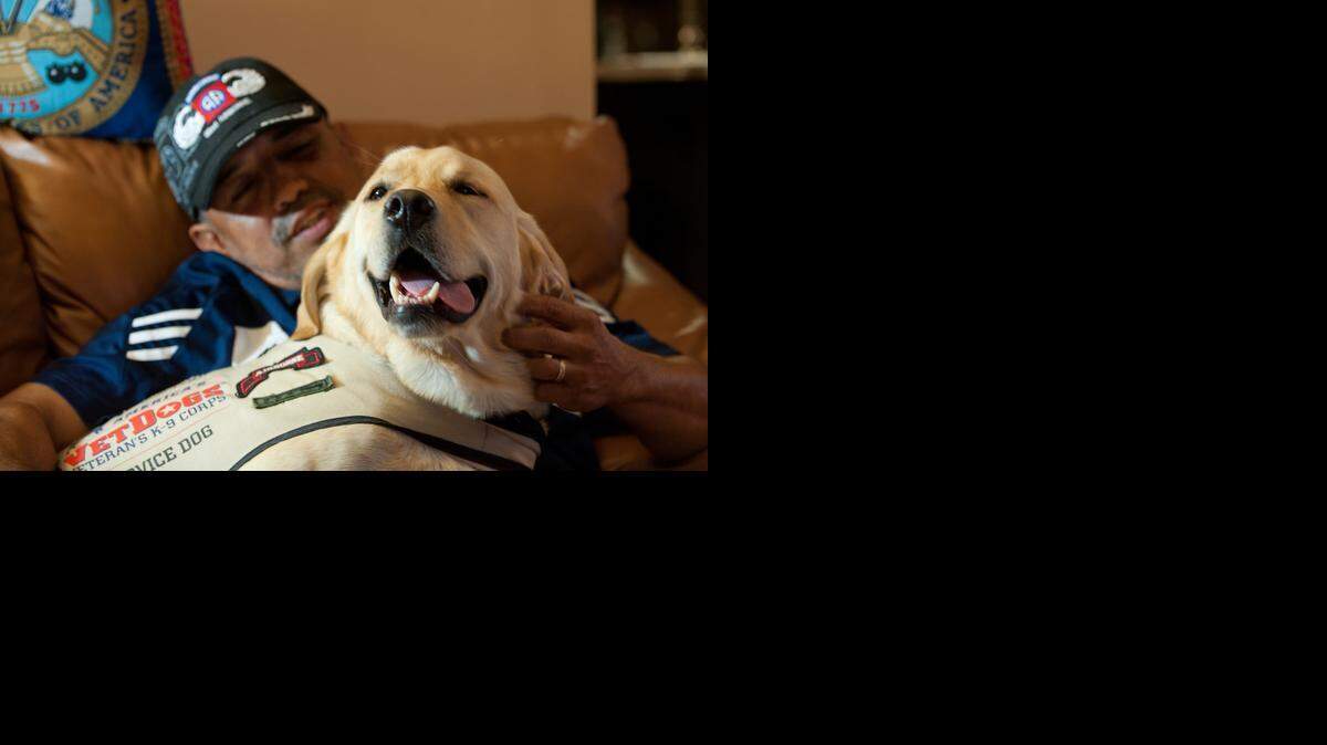 
Diego H. Hurtado, a retired Army paratrooper and veteran of several military actions including Grenada and Desert Shield, plays with his service dog Rex in his home in Miami. Hurtado receives help from Rex with the physical and psychological injuries he suffered during his service.
