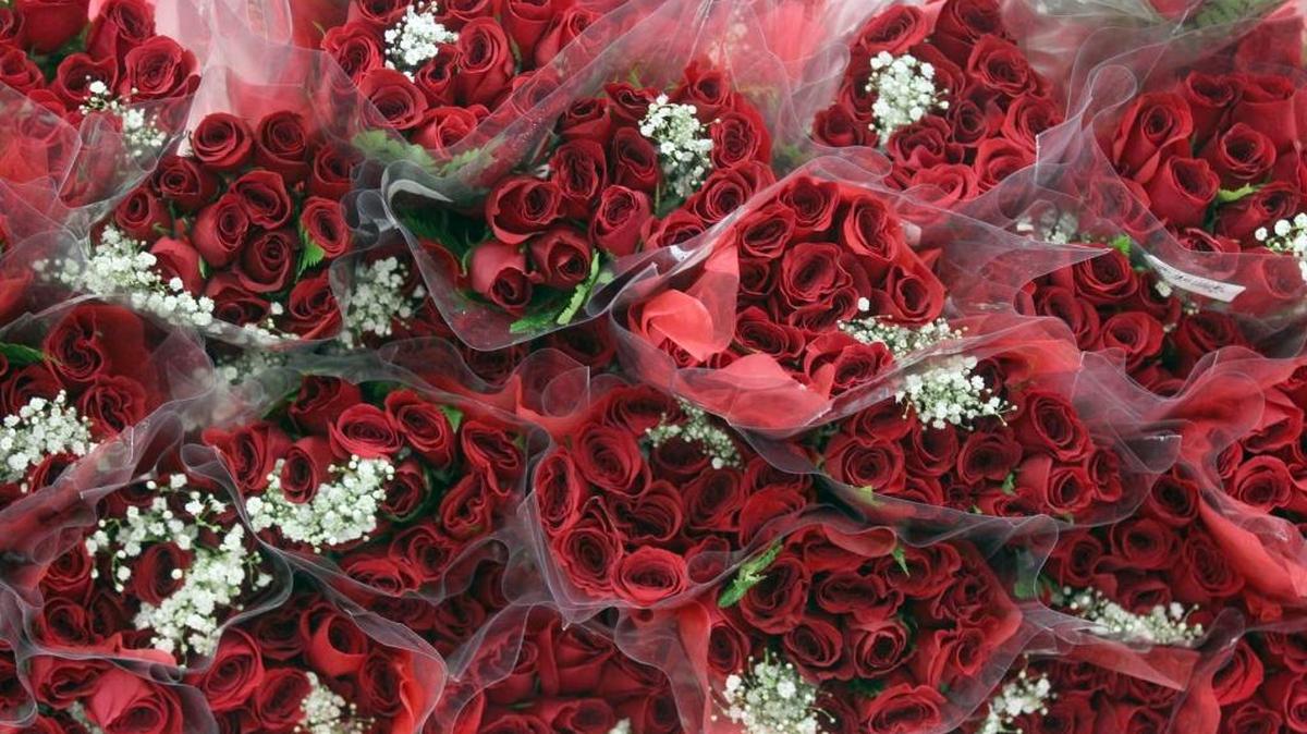 Online florist company Bloomy Days ranks 50 cities across the globe to find out which is the most expensive and which the cheapest for a couple going all out on Valentine’s Day.