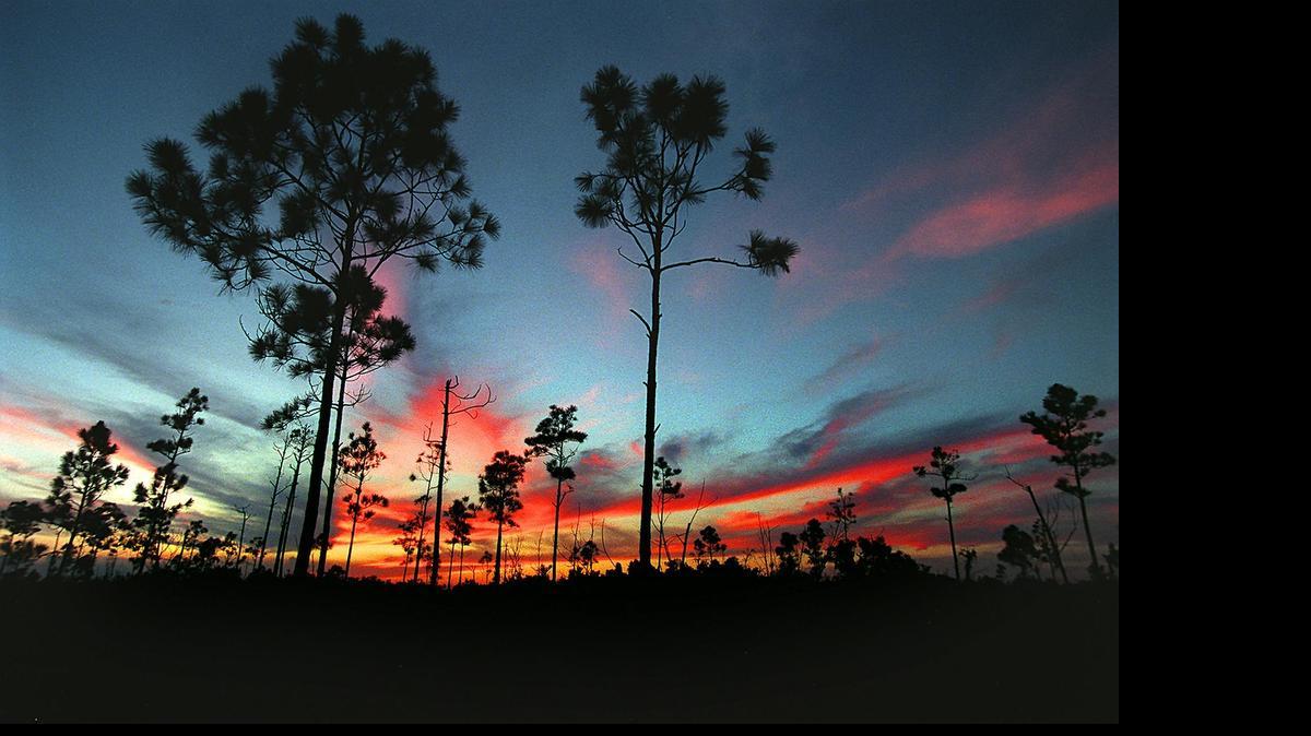 
Conservationists say the state needs to buy between 30,000 and 60,000 acres south of Lake Okeechobee to build a reservoir to help restore the Everglades.
