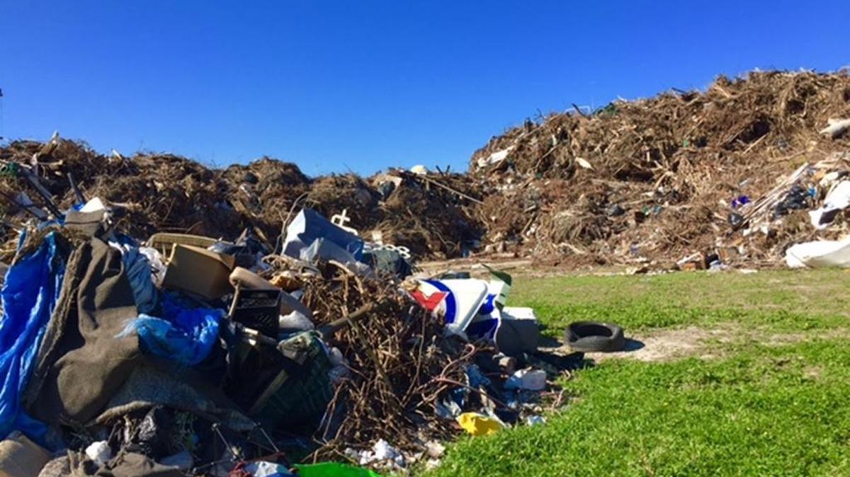 Post-Irma debris and trash has been collected in piles on Virginia Key next to the lagoon, mountain bike trails and Virginia Key Outdoor Center.