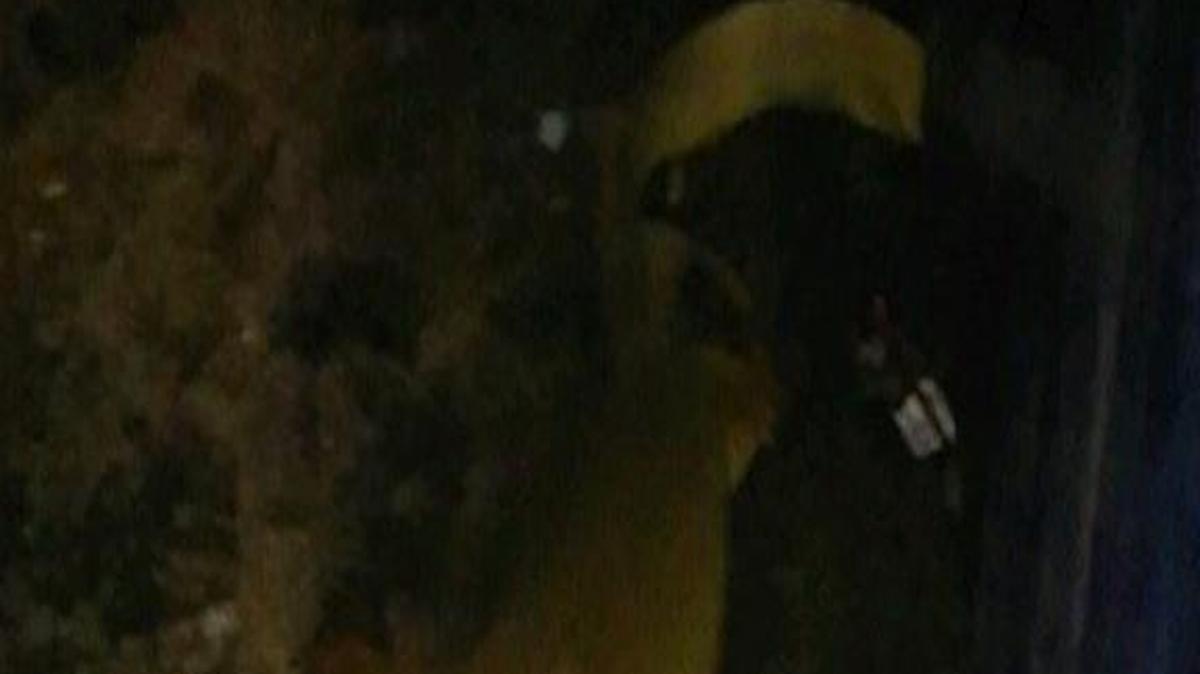 A woman who called the CBS4 newsroom said she thinks a fisherman caught and tossed two sharks outside her apartment building on Northwest First Place.