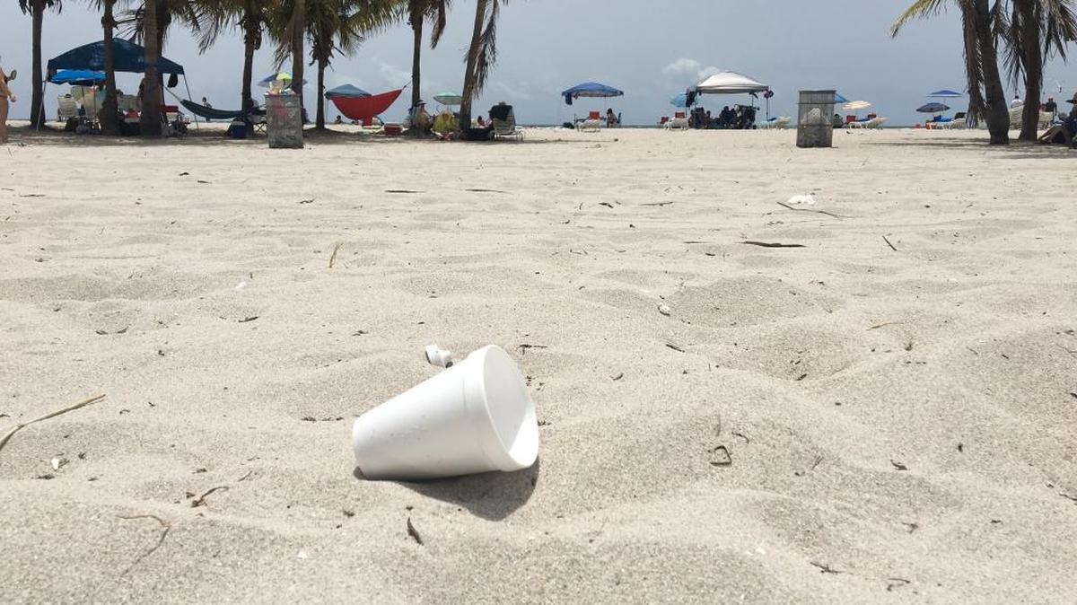 An abandoned Styrofoam cup on Miami-Dade’s Crandon Park Beach in Key Biscyane, photographed days before county commissioners voted in June 2016 to ban Styrofoam and similar materials from Miami-Dade parks. The restrictions take effect July 1, 2017.