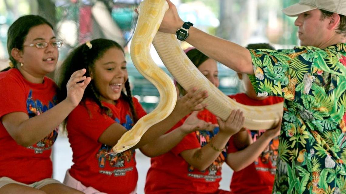 Summer Camps in the Jungle at Jungle Island in Miami. As an adventure camper, the children have hands-on animal encounters.