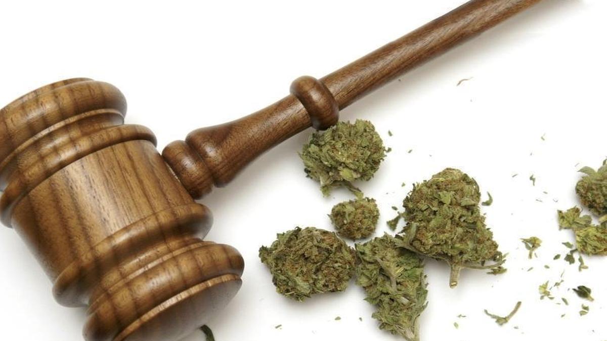 
Police would have the option to issue a $100 fine for misdemeanor marijuana possession, instead of arrest.
