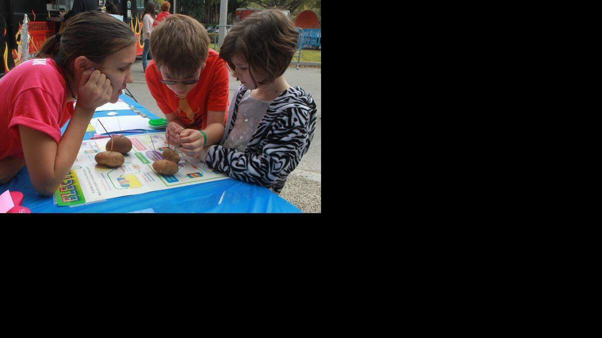 
Amanda Zatorsky, left, from the Society of Woman, helps Nickolas McCormick, center, and his sister Mackenzie McCormick, make a battery with zinc, copper, and potatoes for a potato clock at the Patricia and Phillip Frost Museum of Science. The museum was hosting Innovation & Engineering Weekend, two days of technology, green solutions, and interactive activities, Saturday, Feb., 21, 2015.

