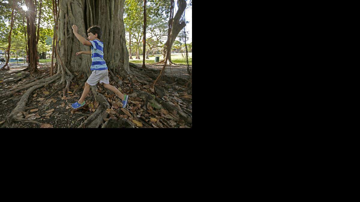 
Gabriel Fantozzi, 5, runs through Merrie Christmas Park on Wednesday, April 8, 2015.
