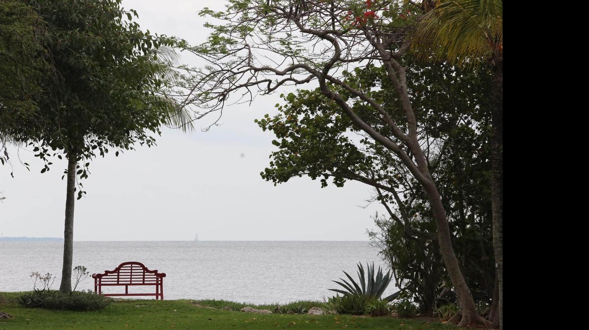 
The Kampong in Coconut Grove is a green paradise in the middle of the city.
