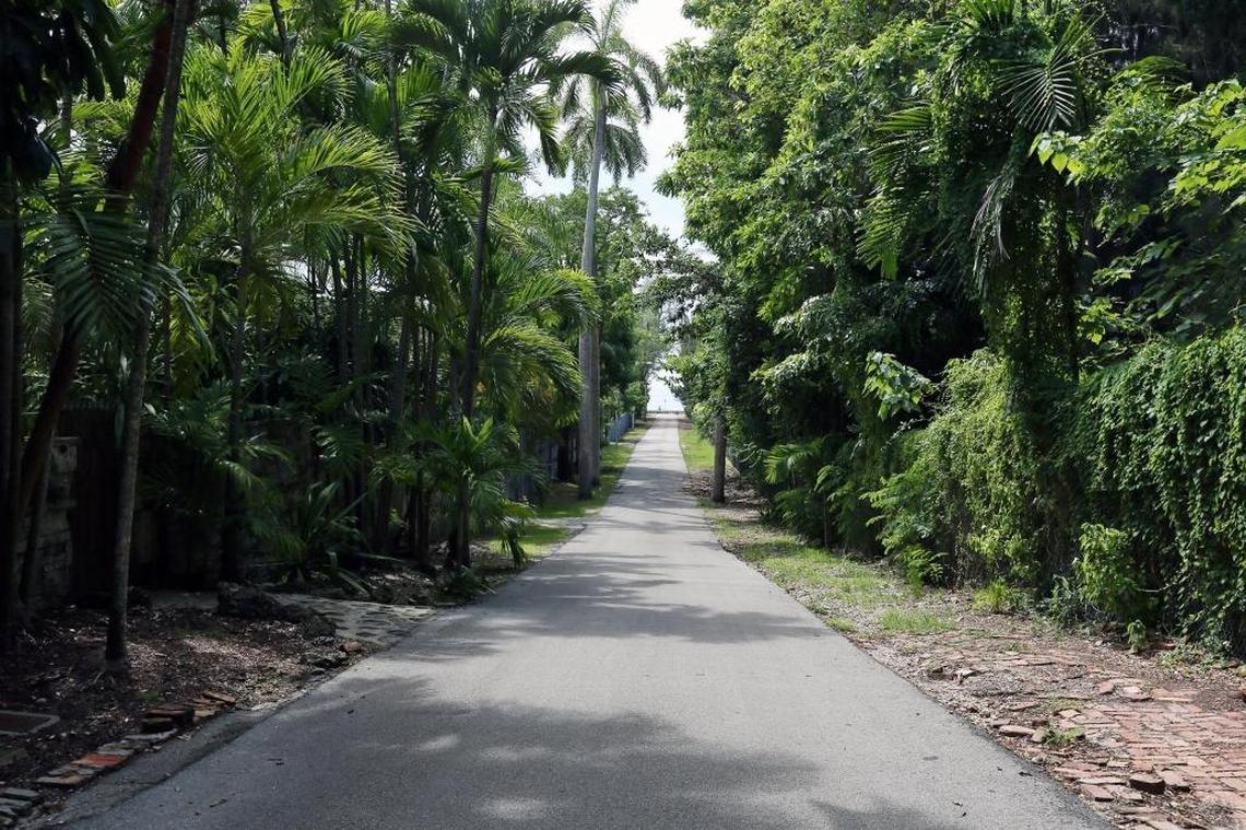 View of Royal Road, a publicly accessible strip of Coconut Grove that has become a magnet for trash and graffiti at its end near the bay.