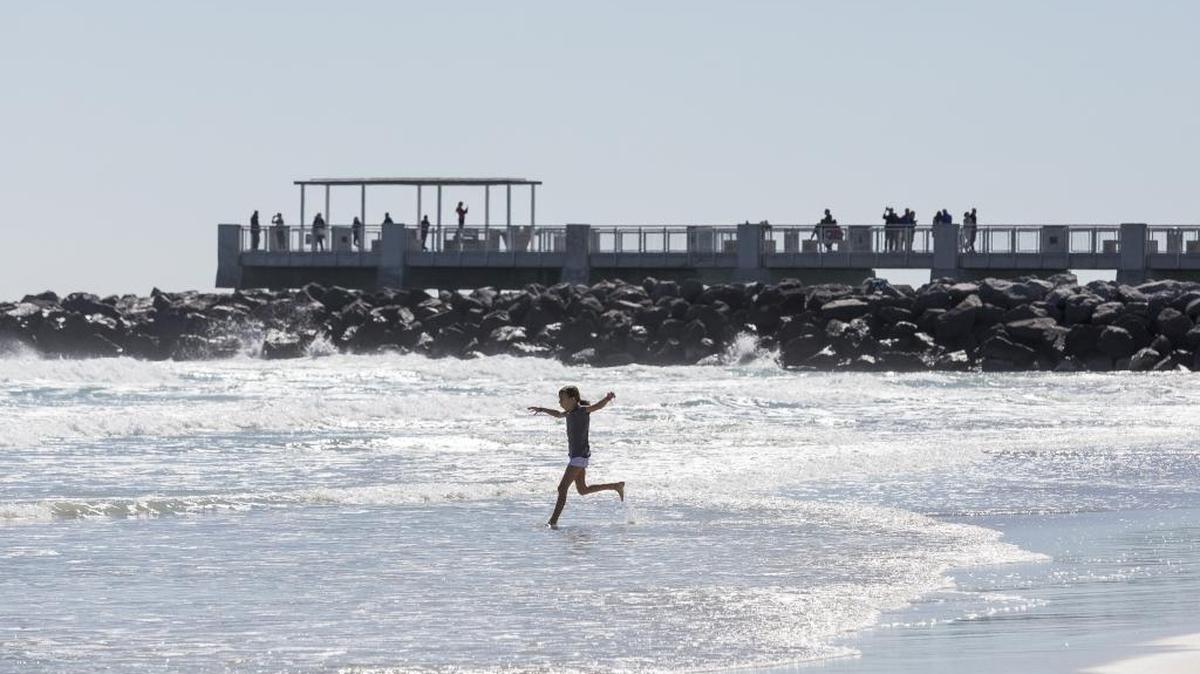 Nina Wysocki, 7, jumps into the water in this January file photo.