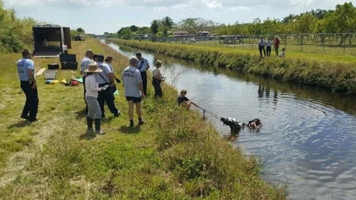 A male Quarter Horse was rescued Sunday morning from a Southwest Miami-Dade canal after it got spooked by a black construction tarp and fell in. The horse was not injured.