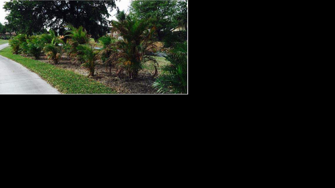 
As golfers on the Silver Course in Doral Park look down the fairways, they would still not be able to see the backyards of residents’ homes, according to a proposal.
